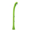 Doccia solare verde