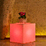 Lampada quadrata da giardino in resina bianca per esterno, ideali anche per il terrazzo e bordo piscina. Lampade da terra quadrate illuminate di luce rossa.